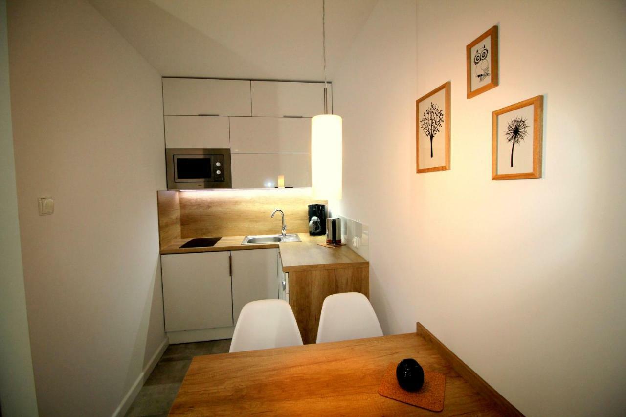 Apartamenty Podgorze Шклярска Поремба Екстериор снимка